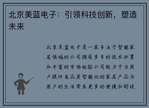 北京美蓝电子：引领科技创新，塑造未来